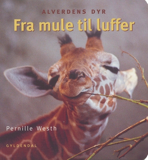 Fra mule til luffer