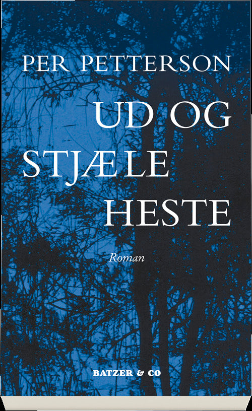 Ud og stjæle heste