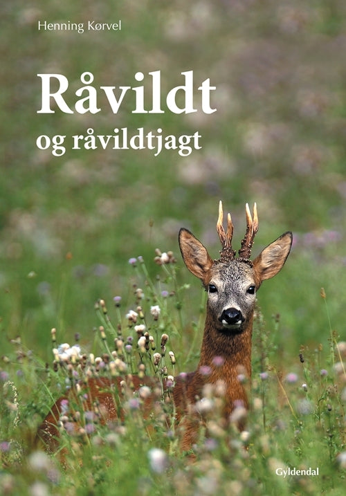 Råvildt og råvildtjagt