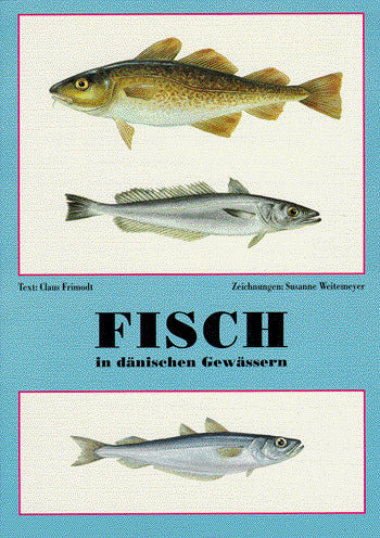 Fisch in dänischen Gewässern