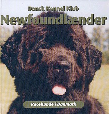 New Foundlænder