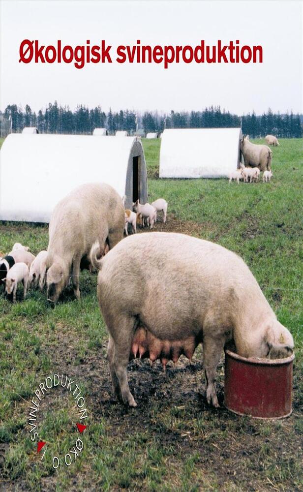 Økologisk svineproduktion