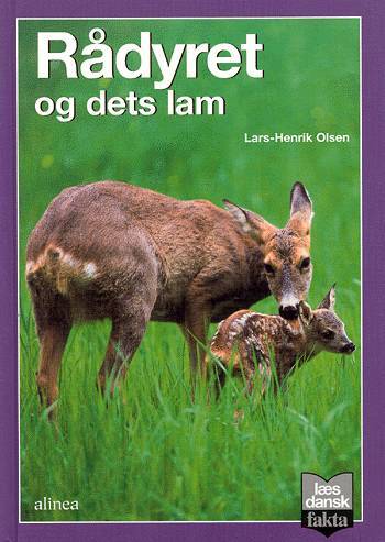 Rådyret og dets lam