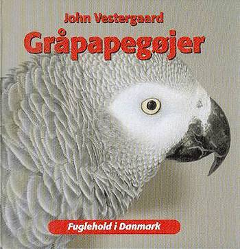 Gråpapegøjer