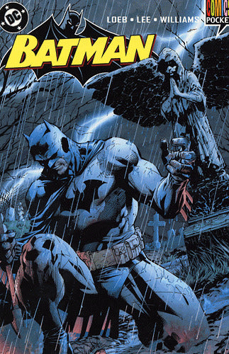 Batman pocket