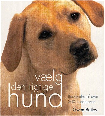 Vælg den rigtige hund