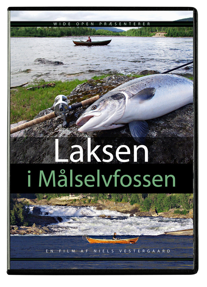 Laksen i Målselvfossen