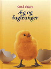 Æg og fugleunger