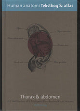 Human anatomi Thorax & abdomen