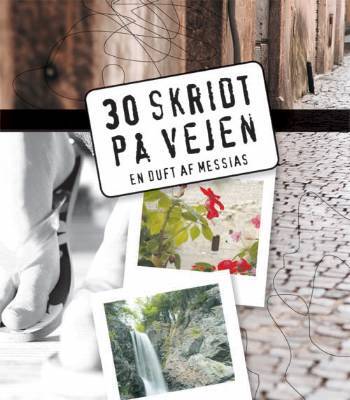 30 skridt på vejen