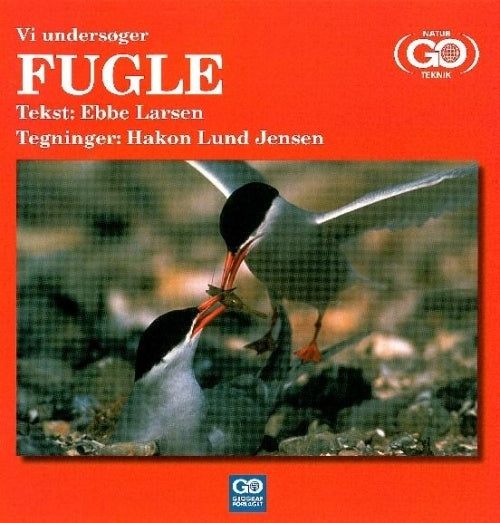 Vi undersøger Fugle