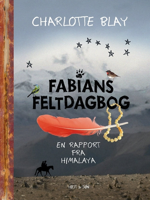 Fabians Feltdagbog