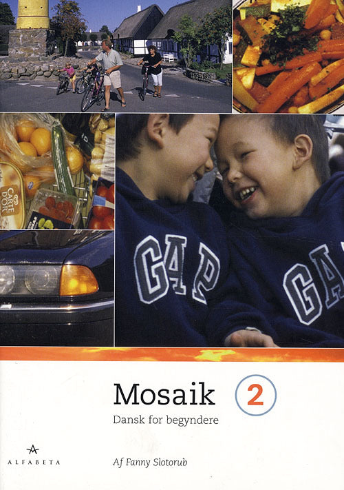 Mosaik 2 - grundbog