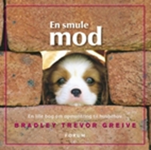 En smule mod
