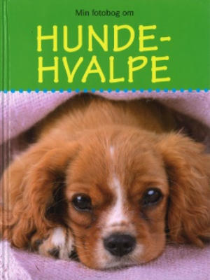 Min fotobog om hundehvalpe