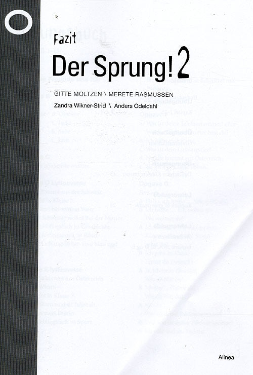 Der Sprung! 2, Fazit
