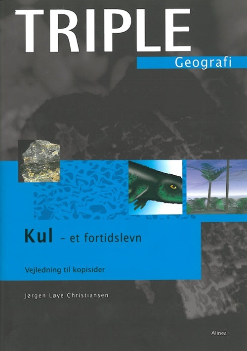 Triple, Kul - et fortidlevn, Vejledning til kopisider