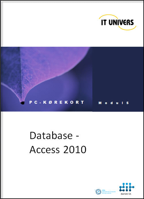 Database Access 2010