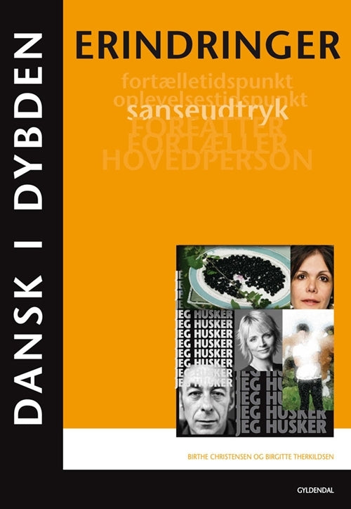 Dansk i dybden - Erindringer