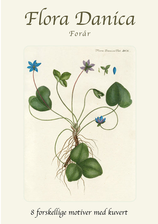 Forår Flora Danica - kort