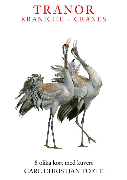 Tranor Kraniche Cranes