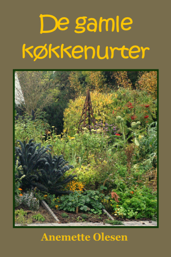 Gamle potteplanter