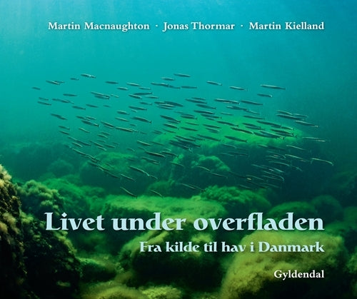 Livet under overfladen