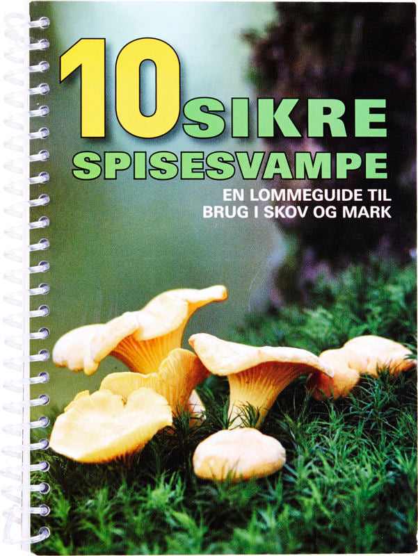 10 sikre spisesvampe
