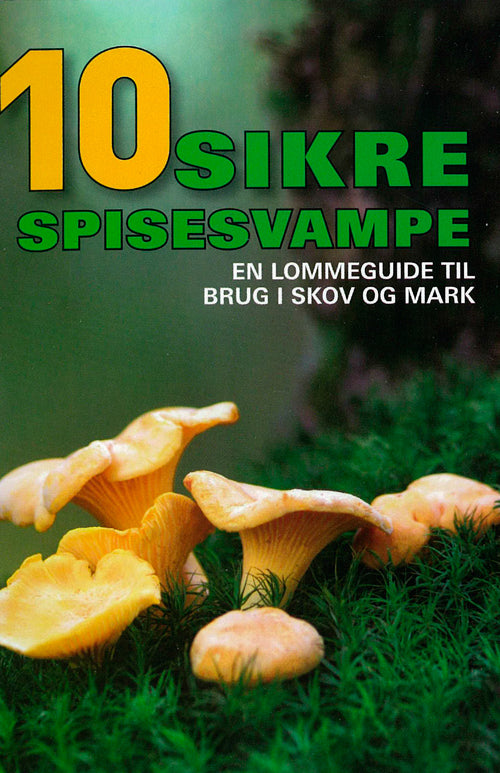 10 sikre spisesvampe - display med 10 stk.