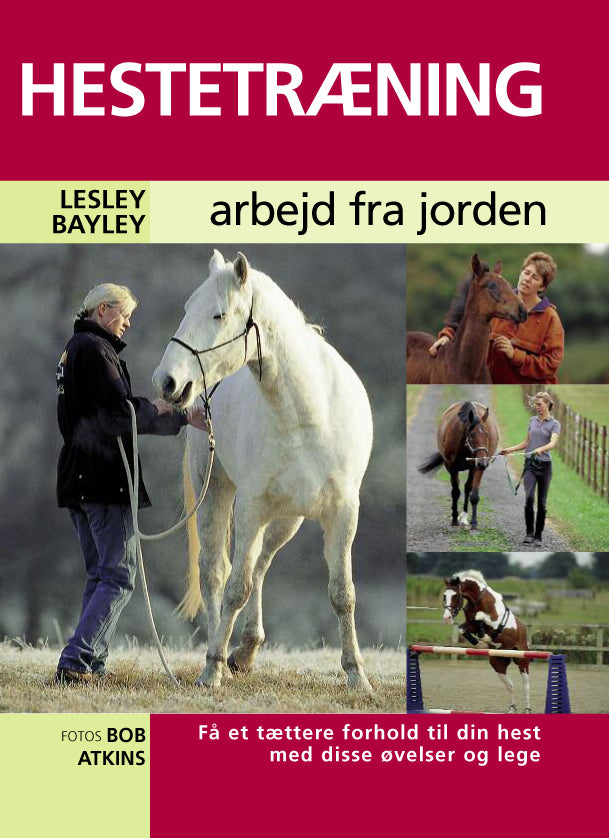 HESTETRÆNING - arbejd fra jorden