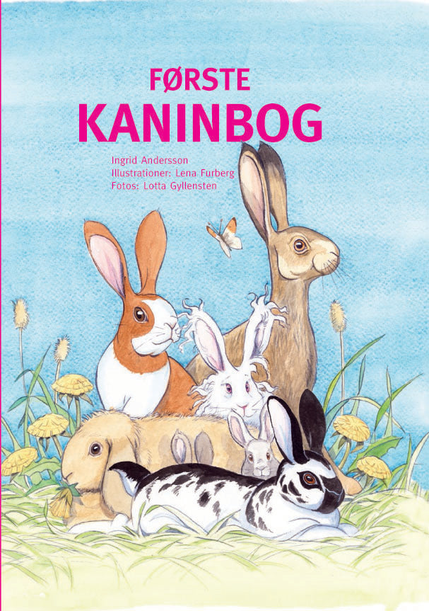 Første kaninbog