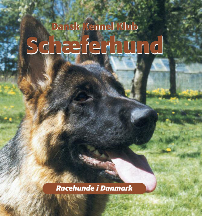 Schæferhund