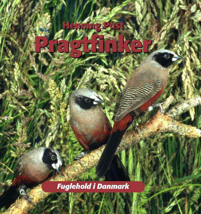 Pragtfinker