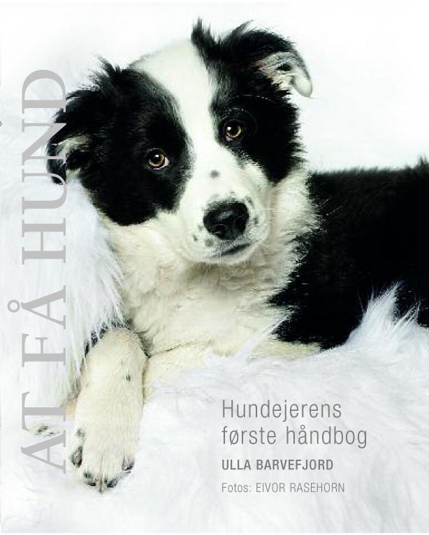 At få hund