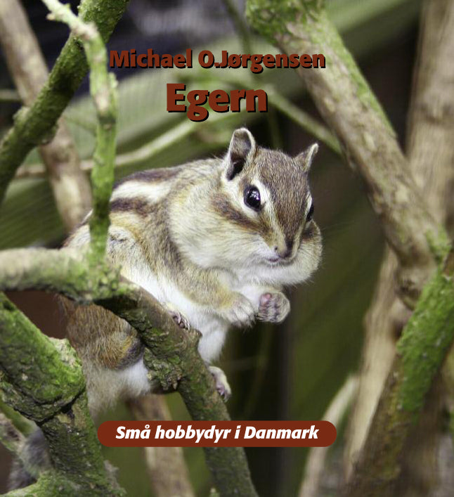 Egern