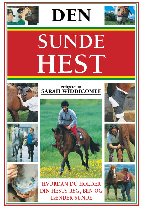 Den sunde hest