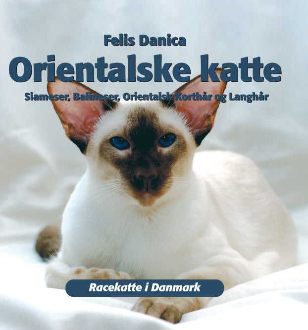 Orientalske katte