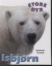 STORE DYR: Isbjørn