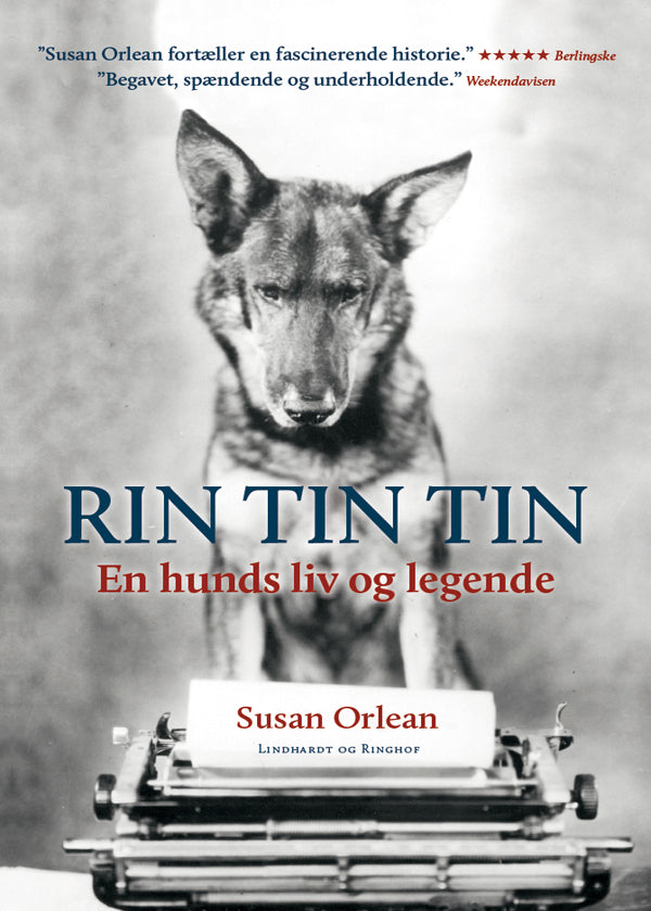 Rin Tin Tin