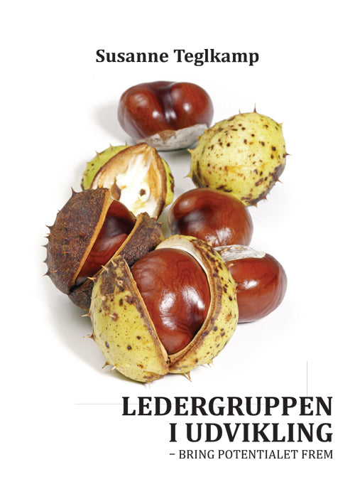 Ledergruppen i udvikling