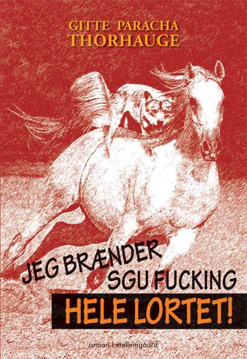 Jeg brænder sgu fucking hele lortet