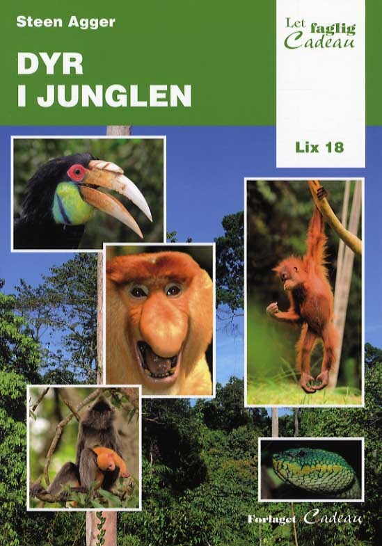 Dyr i junglen