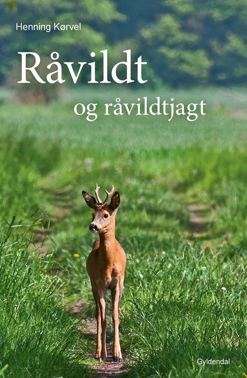Råvildt og råvildtjagt