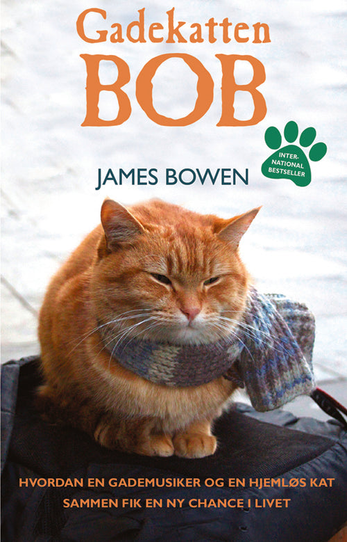 Gadekatten Bob