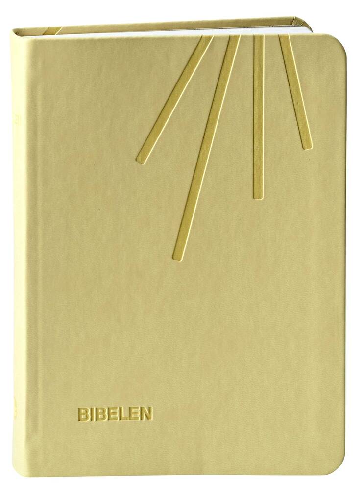 Bibelen - lille format