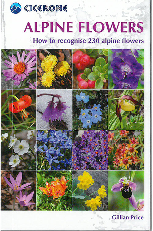 Alpine Flowershow To Recognise 230 Alpine Flowers