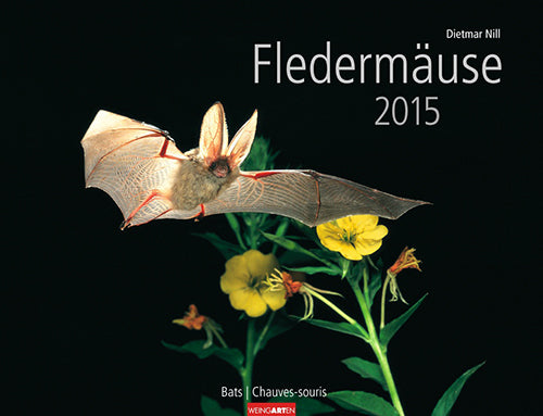 Fledermäuse - Bats Calendar 2015