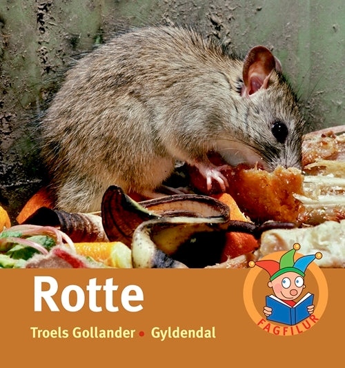 Rotte