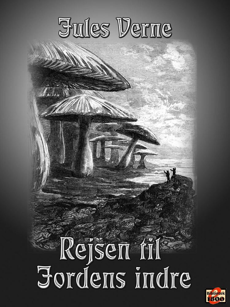 Rejsen til Jordens indre