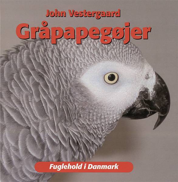 Gråpapegøjer